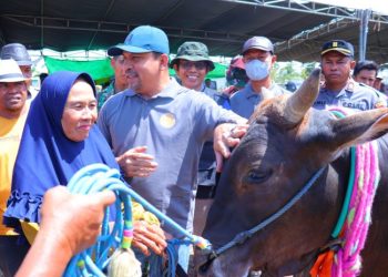 Kontes Ternak Sepulau Sumbawa, Bupati Dompu: Program Jarapasaka Tumbuhkan Kesejahteraan   