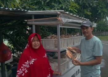 Cerita Sukses di Lingkar Tambang Hu’u, Dari Ikan Kering Raup Cuan Jutaan Rupiah Perhari