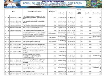 RINGKASAN APBD PROVINSI NTB YANG DIKLASIFIKASI MENURUT URUSAN PEMERINTAHAN DAERAH DAN ORGANISASI TAHUN ANGGARAN 2025..(6)