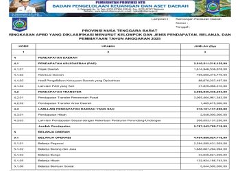 RINGKASAN APBD YANG DIKLASIFIKASI MENURUT KELOMPOK DAN JENIS PENDAPATAN, BELANJA DAN PEMBIAYAAN TAHUN ANGGARAN 2025..(1)