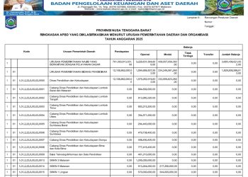RINGKASAN APBD PROVINSI NTB YANG DIKLASIFIKASI MENURUT URUSAN PEMERINTAHAN DAERAH DAN ORGANISASI TAHUN ANGGARAN 2025..(3)