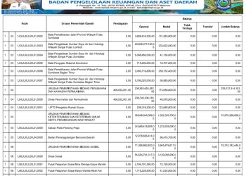 RINGKASAN APBD PROVINSI NTB YANG DIKLASIFIKASI MENURUT URUSAN PEMERINTAHAN DAERAH DAN ORGANISASI TAHUN ANGGARAN 2025..(5)