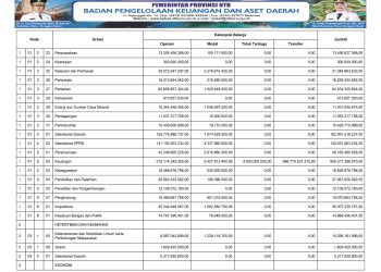 Rekapitulasi Belanja Daerah untuk Keselarasan dan Keterpaduan Urusan Pemerintah Daerah dan Fungsi Dalam Kerangka Pengelolaan Keuangan Negara TA. 2025..(16)