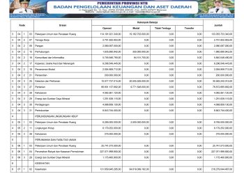 Rekapitulasi Belanja Daerah untuk Keselarasan dan Keterpaduan Urusan Pemerintah Daerah dan Fungsi Dalam Kerangka Pengelolaan Keuangan Negara TA. 2025..(17)