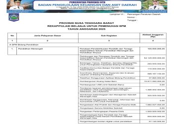 Rekapitulasi Belanja Untuk Pemenuhan SPM Tahun Anggaran 2025..(19)