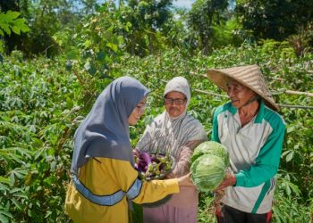 Hasil Panen Petani Lokal Meningkat Berkat Program Pertanian Organik PT STM