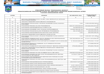 Sinkronisasi Program pada RPJMD/RPD dengan Rancangan APBD TA. 2025..(25)