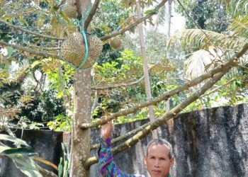 Kades Komit Wujudkan Sorinomo sebagai Desa Agro Wisata Buah