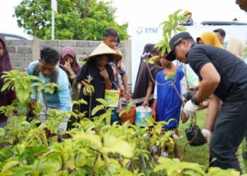 Hari Menanam Pohon Indonesia, PT STM bersama Warga Hu’u Tanam Ratusan Bibit Pohon