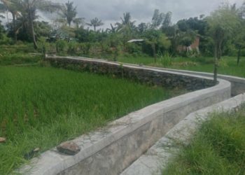 Dari Bantuan Benih hingga Optimalisasi Lahan…(2)  ‎