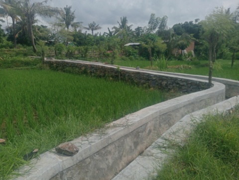 Dari Bantuan Benih hingga Optimalisasi Lahan…(2) 