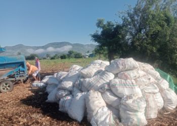 ‎Pelabuhan Kilo dan Terbukanya Akses Pasar Hasil Pertanian…(4)  ‎