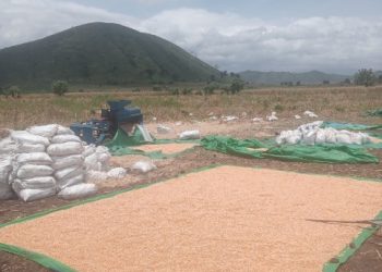 ‎Pelabuhan Kilo dan Terbukanya Akses Pasar Hasil Pertanian…(4)  ‎