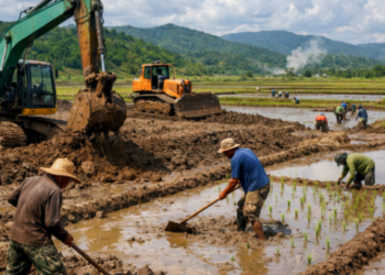 ‎Dari Tanah Tidur Menjadi Harapan Hidup Petani Dompu….(2)