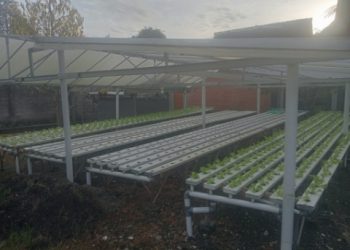 Dinas Pertanian dan Perkebunan Kabupaten Dompu Dorong Pengembangan Hortikultura Modern