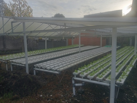 Dinas Pertanian dan Perkebunan Kabupaten Dompu Dorong Pengembangan Hortikultura Modern