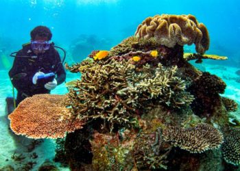 ‎Lampaui Standar Kepatuhan Sosial dan Lingkungan, AMMAN Raih Predikat PROPER Hijau 2026