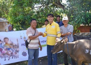 Perkuat Hubungan Sosial, STM Distribusikan 11 Ekor Sapi untuk Masyarakat Dompu