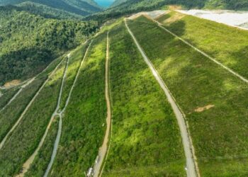 Menyusuri Lereng Hijau AMMAN: Reklamasi Progresif di Tengah Gemuruh Alat Berat